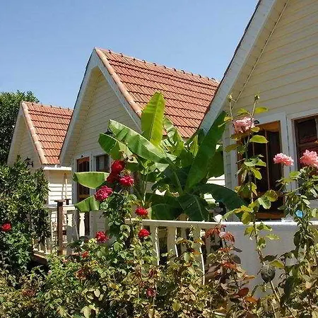 Готель Nova Сіде